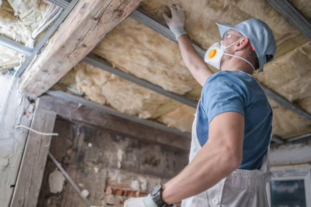 Best Insulation Replacement Services  in Calhoun, GA