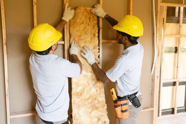 Best Home Insulation Services  in Calhoun, GA